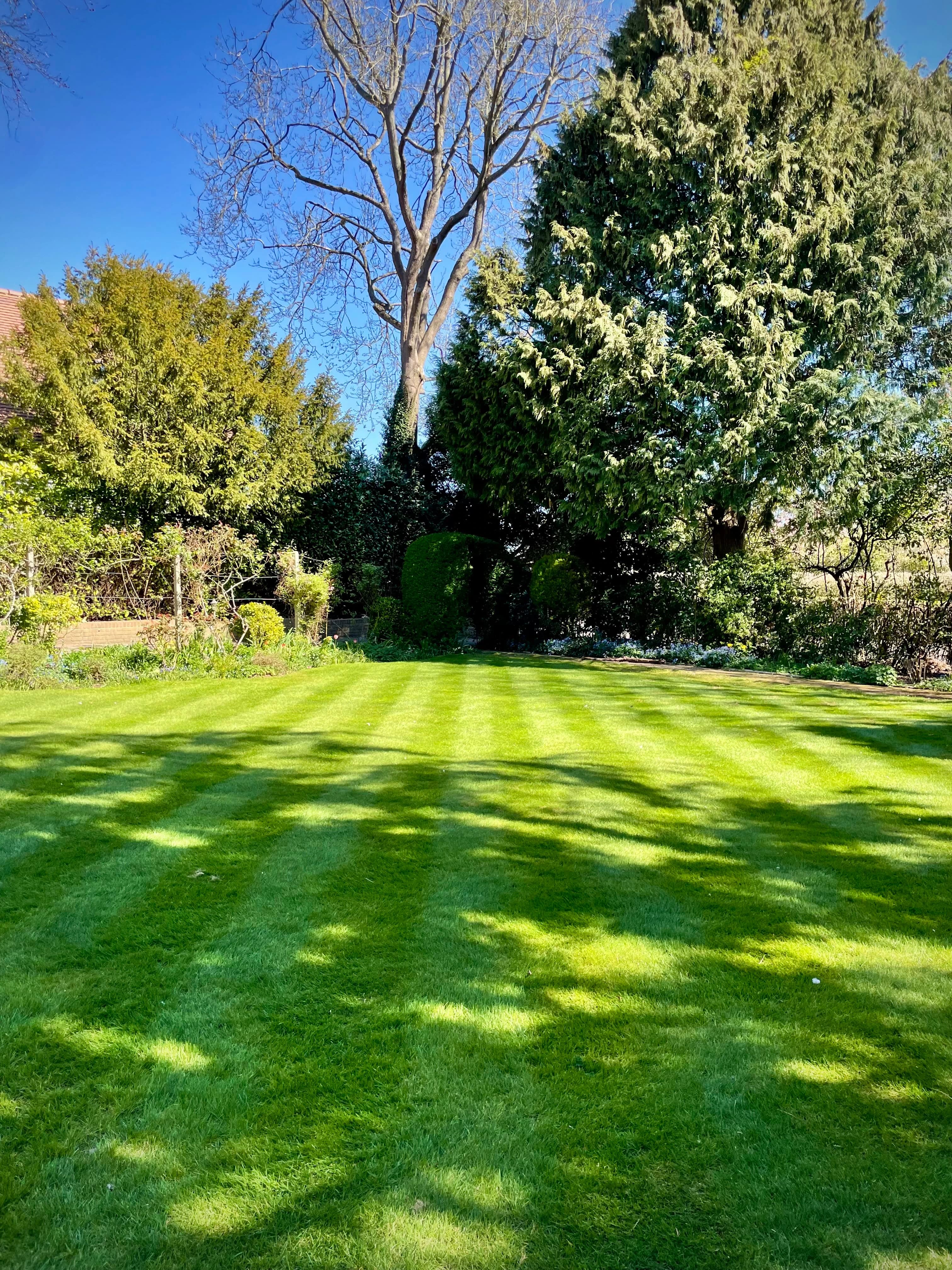 Striped UK Lawn in the summer sun