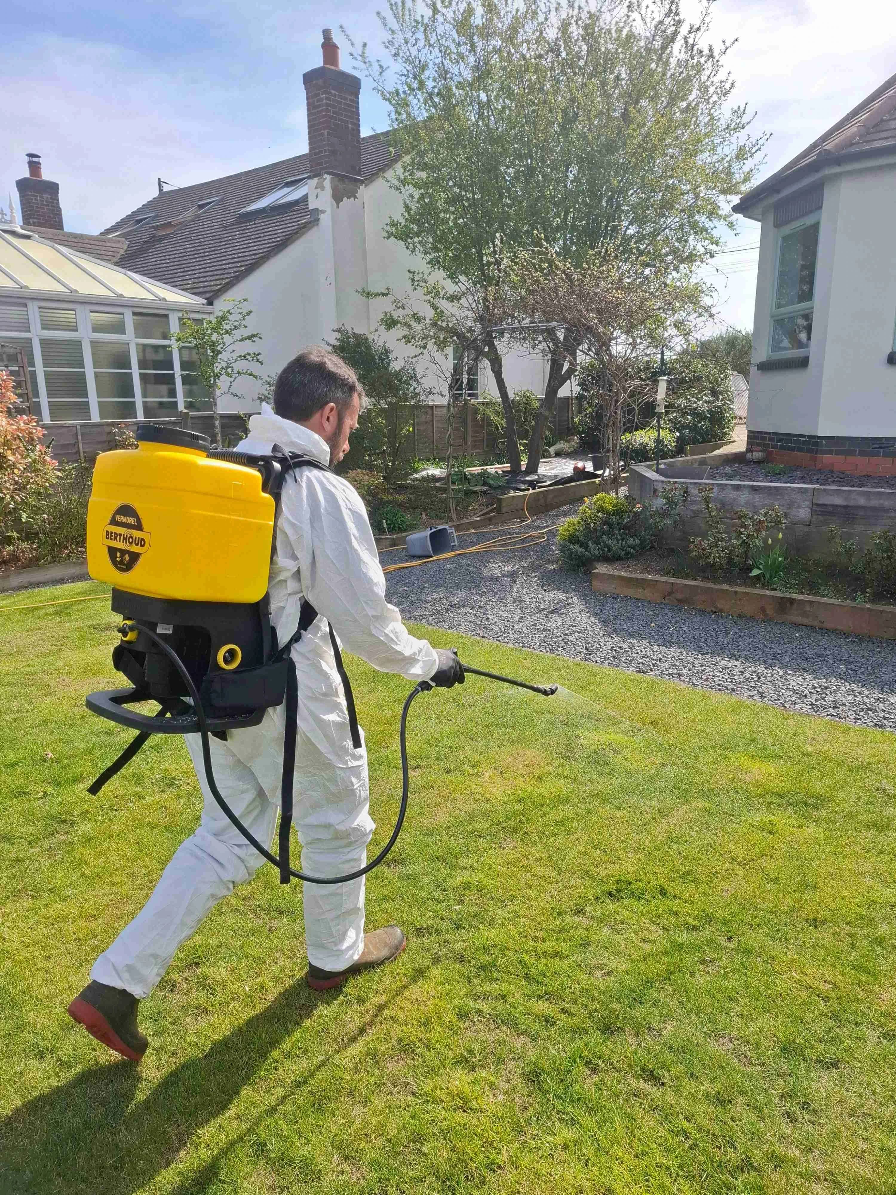 Man with knapsack sprayer on back, spraying a lawn