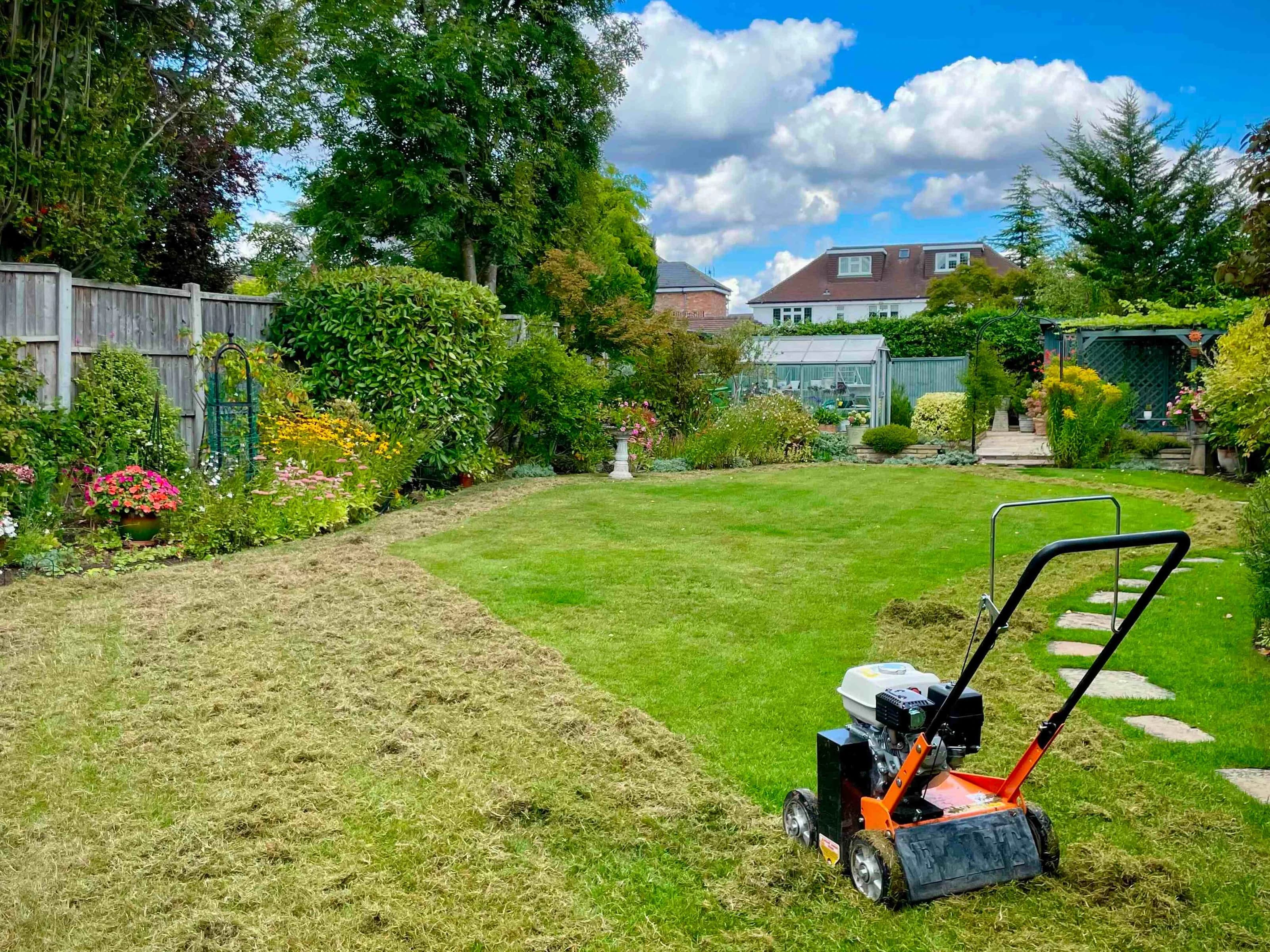 Lawn that has been partially scarified with a scarifier on it