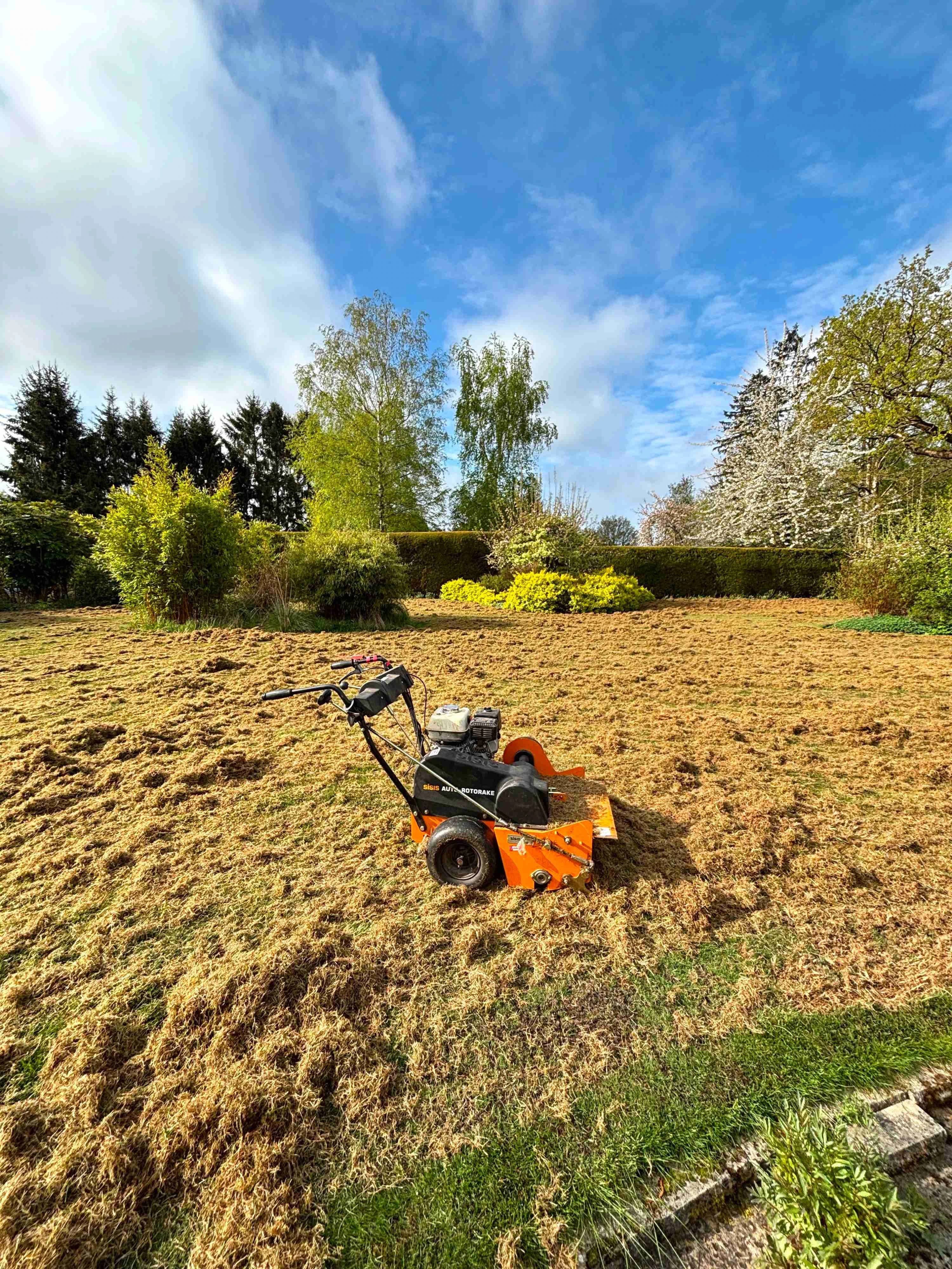 Image of lawn that has been heavily scarified with a a scarifier on the lawn