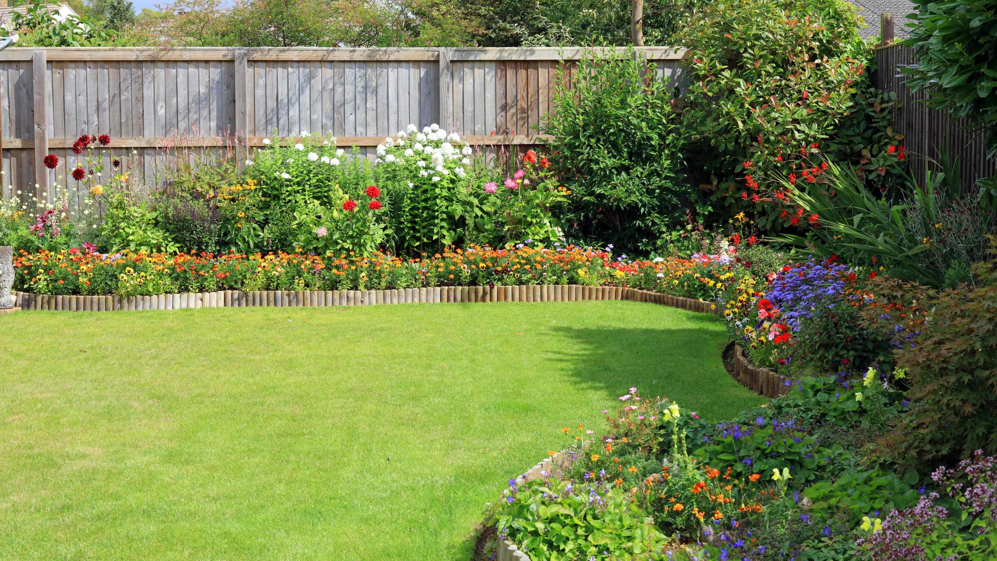 Image of lawn with nice flower beds bordering the lawn